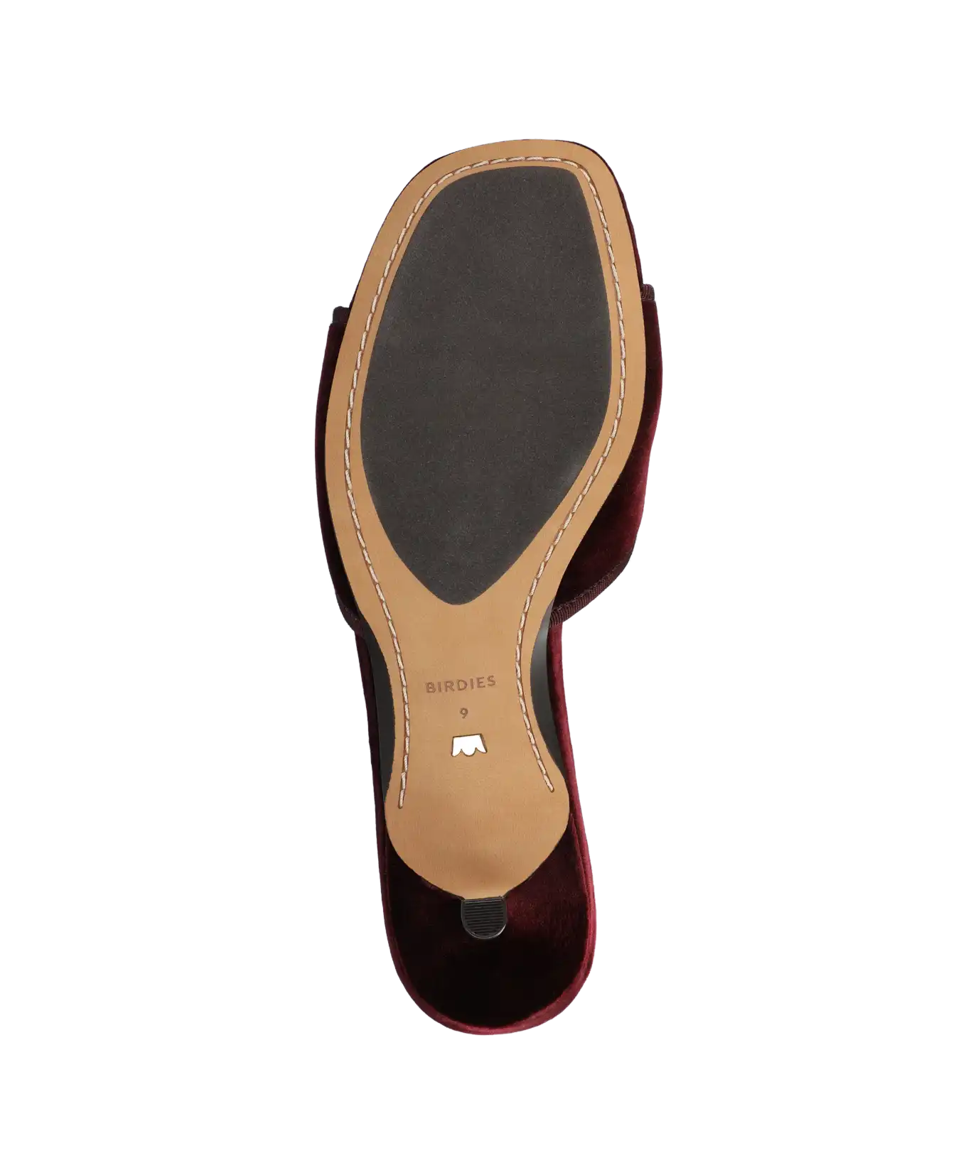 The Kiwi Kitten Flower - Burgundy Velvet