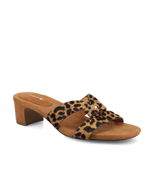 The Kiwi 40 Icon - Leopard Haircalf