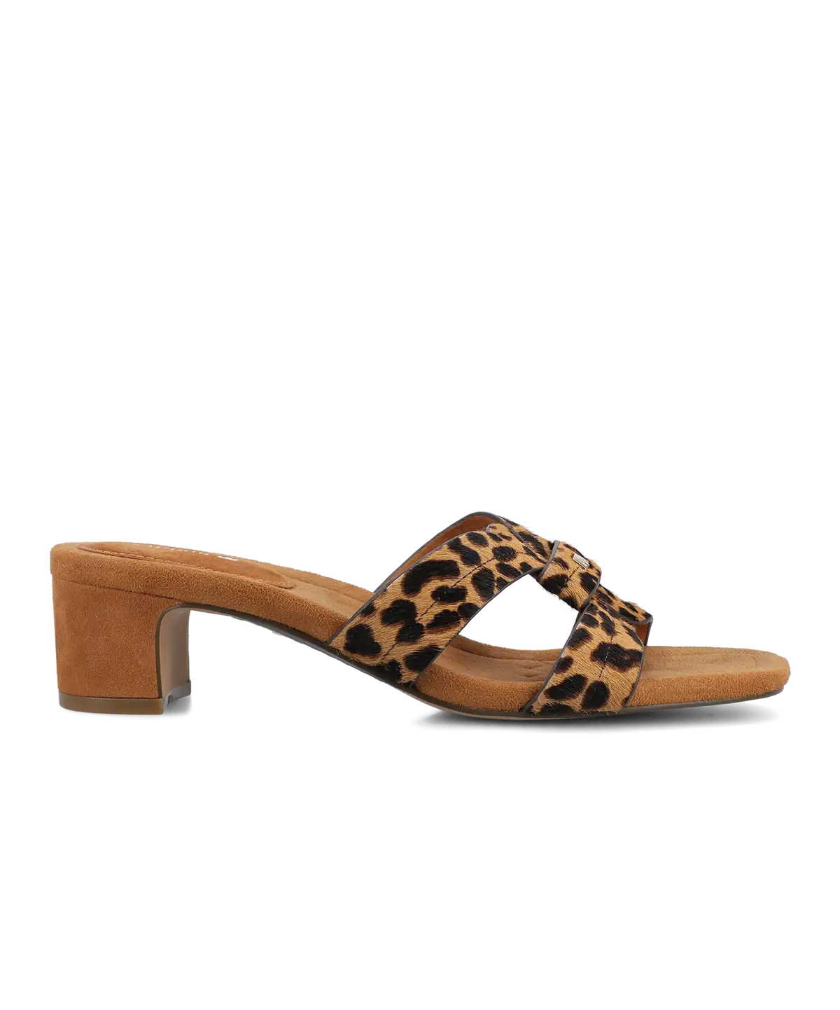 The Kiwi 40 Icon - Leopard Haircalf