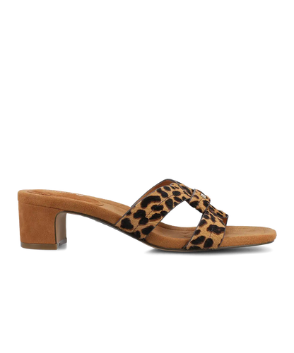 The Kiwi 40 Icon - Leopard Haircalf