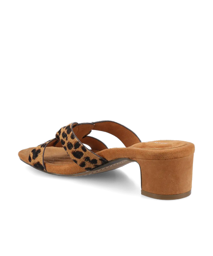 The Kiwi 40 Icon - Leopard Haircalf