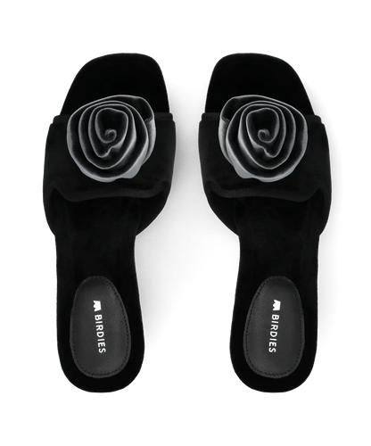 The Kiwi Kitten Flower - Black Velvet
