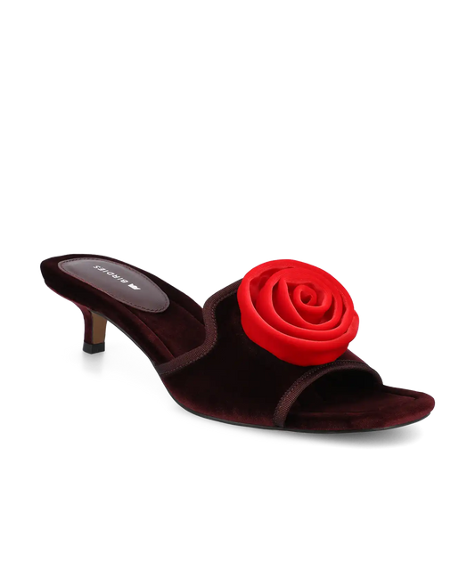The Kiwi Kitten Flower - Burgundy Velvet