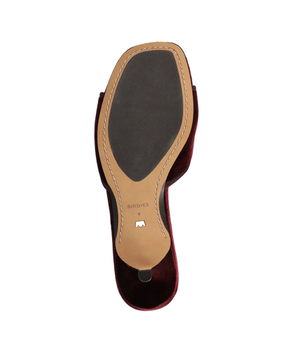 The Kiwi Kitten Flower - Burgundy Velvet