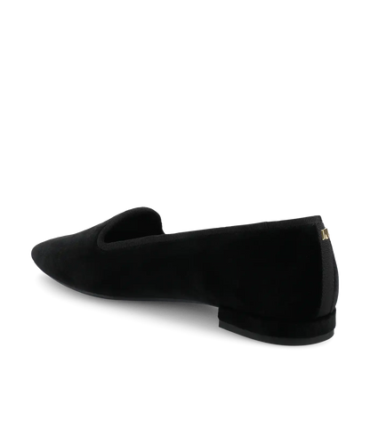 The Starfinch 15 - Black Velvet