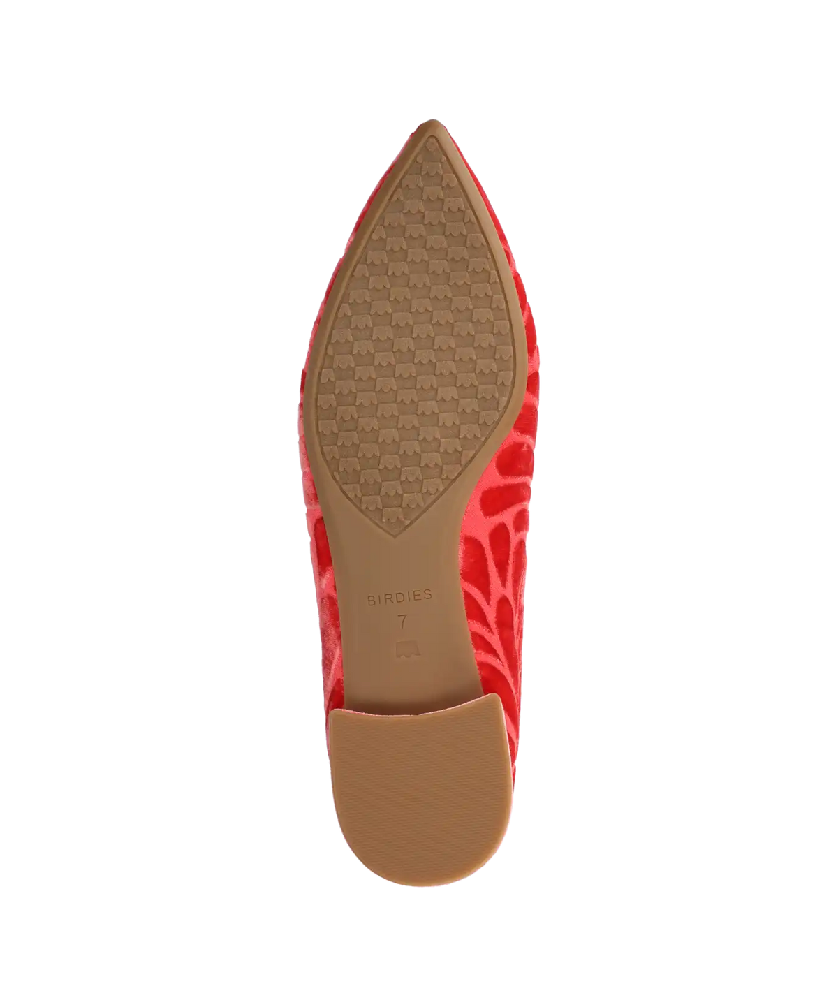 The Starfinch 15 Embroidery - Flame Velvet