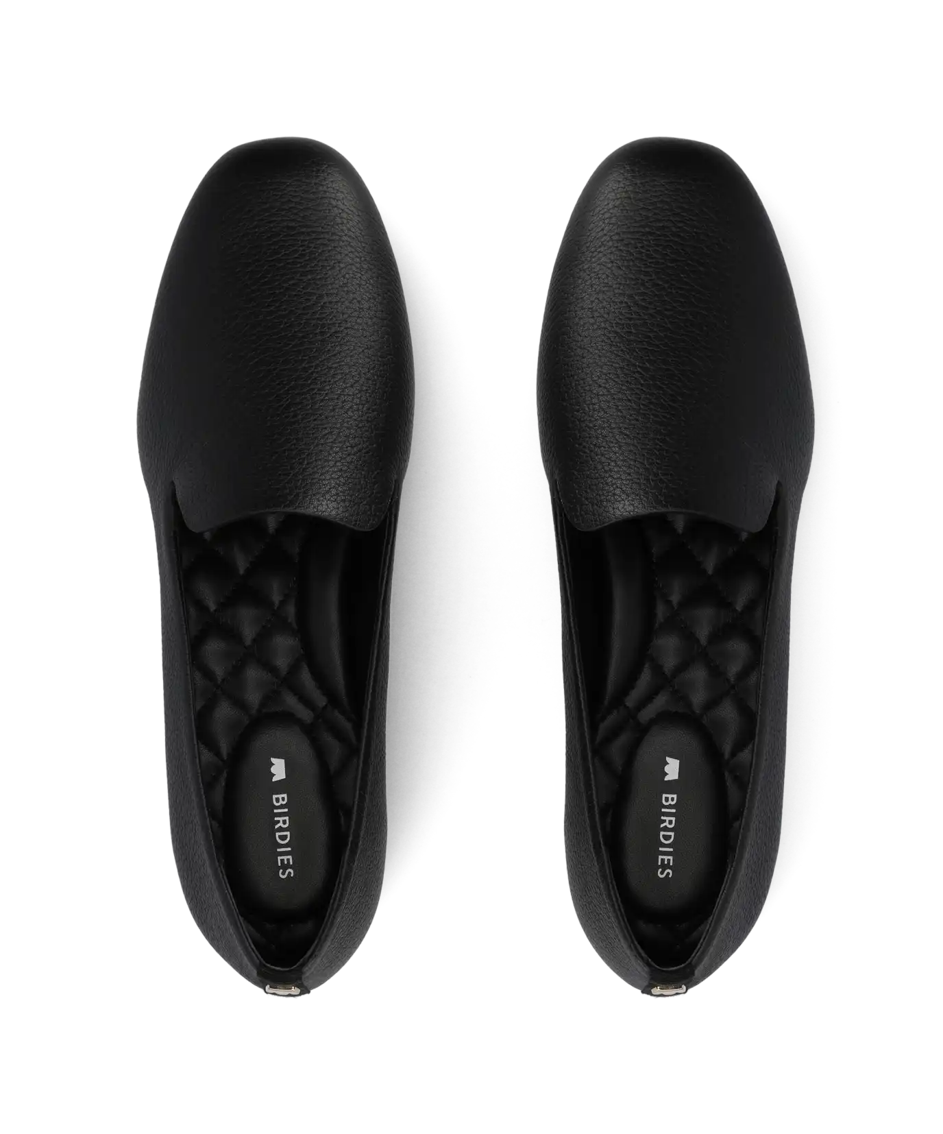 The Starling  - Jet Leather