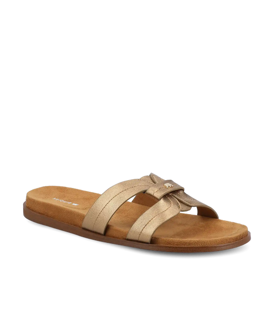 The Sunbird Icon - Gold Leather