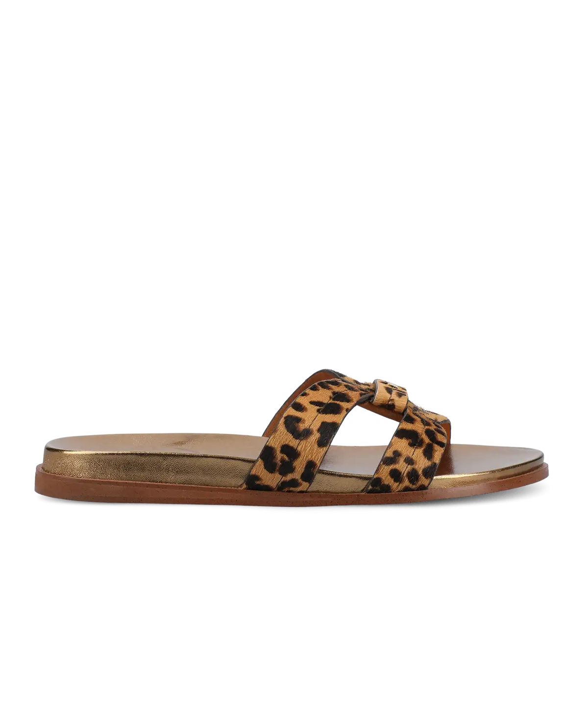 The Sunbird Icon - Leopardprint Haircalf